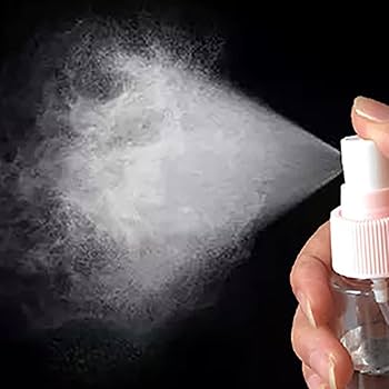 Clear Plastic Mini Travel Spray Bottle